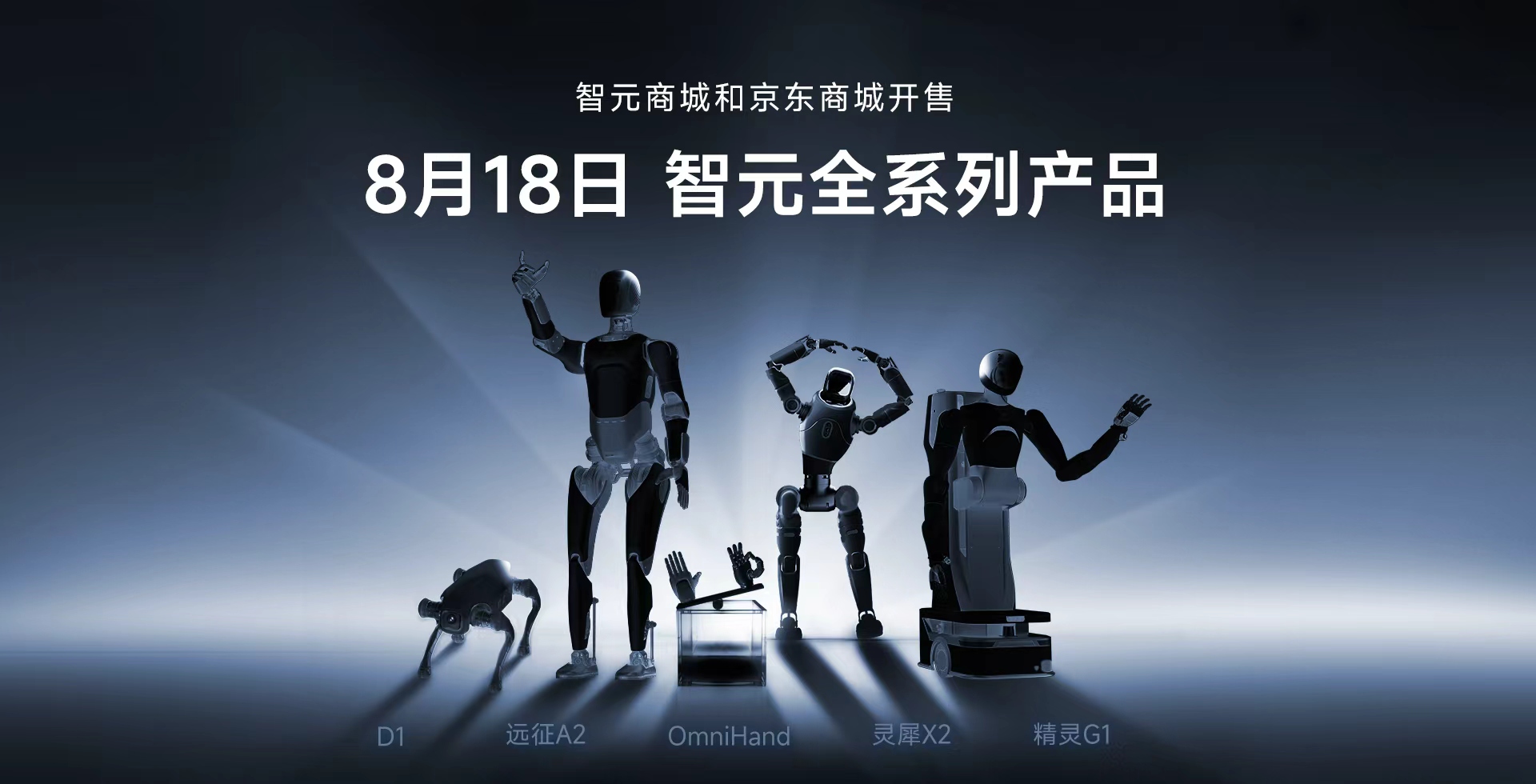 VSport-胜利全系列产品